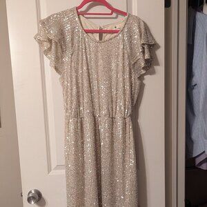 Sequin Sparkle Dress